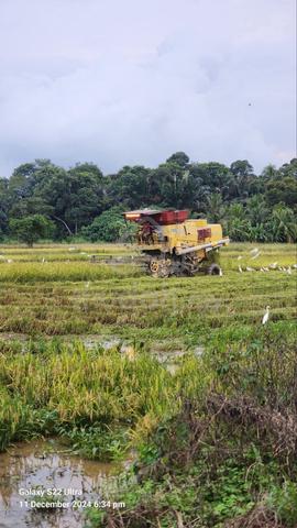 Tanah Sawah di Seri Iskandar 1