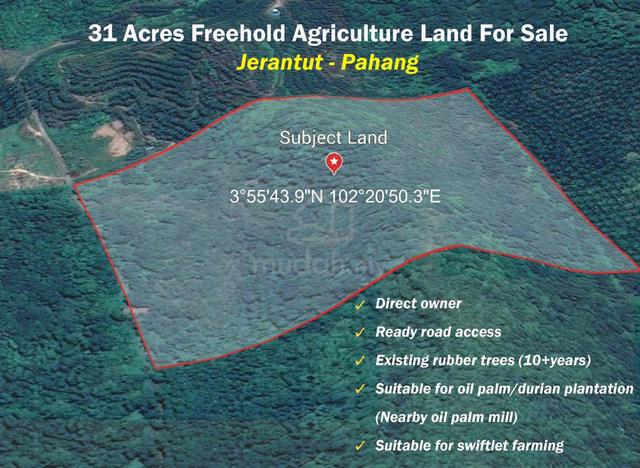 31 Acres Freehold Agriculture Land For Sale 1