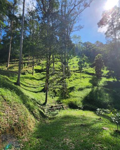 3 EKAR Kebun Buah di Hulu Langat, Selangor 5
