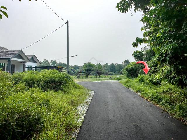 Tanah LOT BANGLO CANTIK 595MP BELAKANG SK KG BANGGOL KATONG K.TRG 1