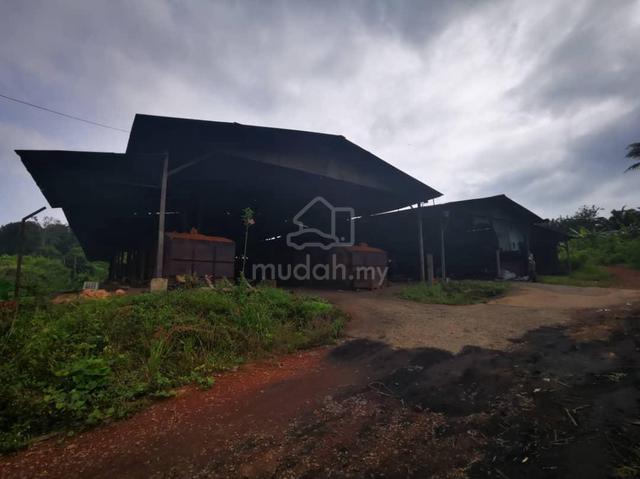 Sawmill & Chacoal plant for sale 1