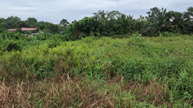 Leasehold Agriculture Land At Kundang, Rawang To Sell 3