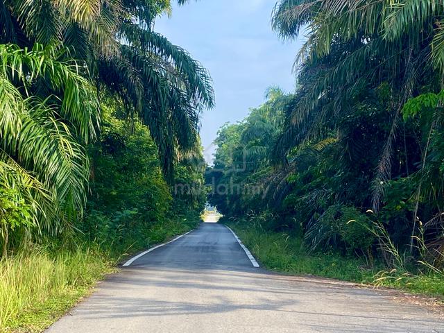 Bungalow Lot for Sale in Mukim Labu Sepang Selangor 2