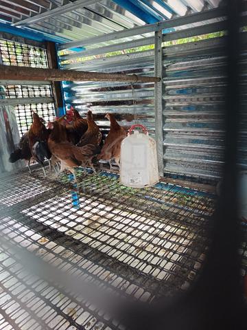 Carousel Image