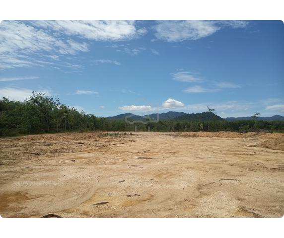 Tanah Murah Bukit Payong Besut 4