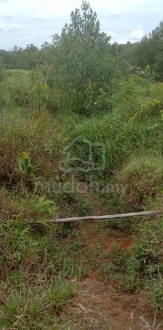 Agricultural Land for Sale, 1 Acre(s), Pengerang, Johor 113527510