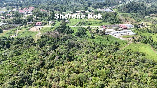 L0160 Land Pangkalan Baru Jalan Stephen Yong (17.03 ac) 1