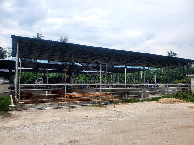 Tanah untuk dijual 1