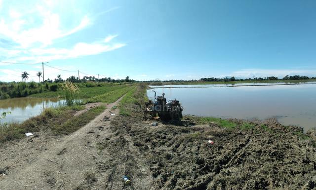 Tanah Bendang Untuk Dijual Di Kampung Gelam, Langgar, Kedah 1