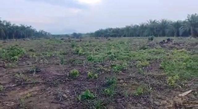 5 Ekar Tanah Pertanian Mukim Jementah Segamat 1