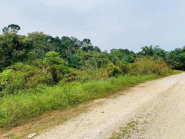 Tanah Rata! Tanah bukit beruntung 2