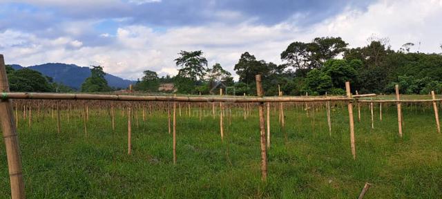 Kerling Kuala Kubu Baharu Hulu Selangor 5.4Acre Agri Land For Sale 1
