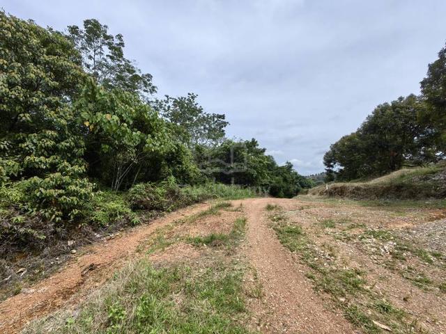 9 Acres Freehold Hilly Land Bandar Kuala Lipis 1