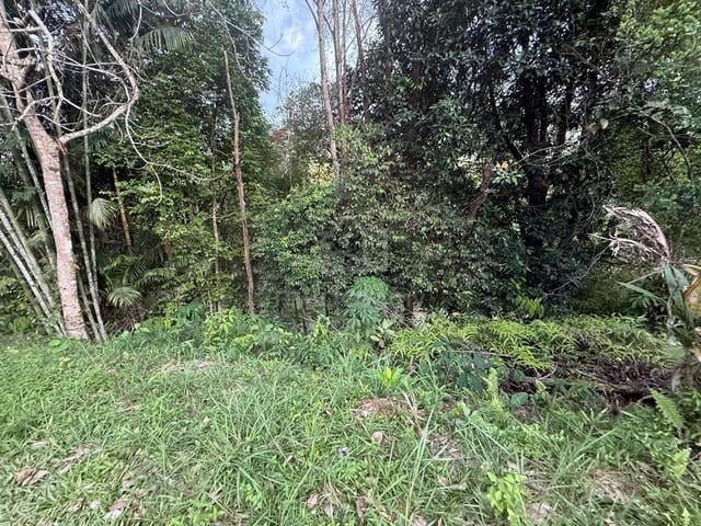NT Land | 3.45 acres | KK Mount View | Kg Lipasu | Mesilau | Ranau | 1