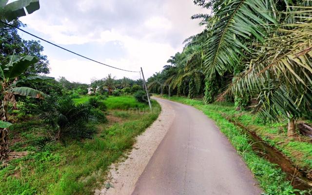 Tepi Jalan Tanah Pertanian 2.4 Ekar Ledang Tangkak Johor 1