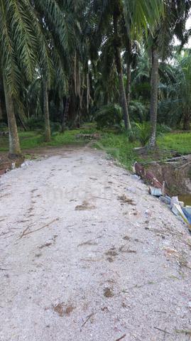 Lot Boleh Pecah Geran Individu Utk di Jual di Jln Sentosa Prt Mahang 1