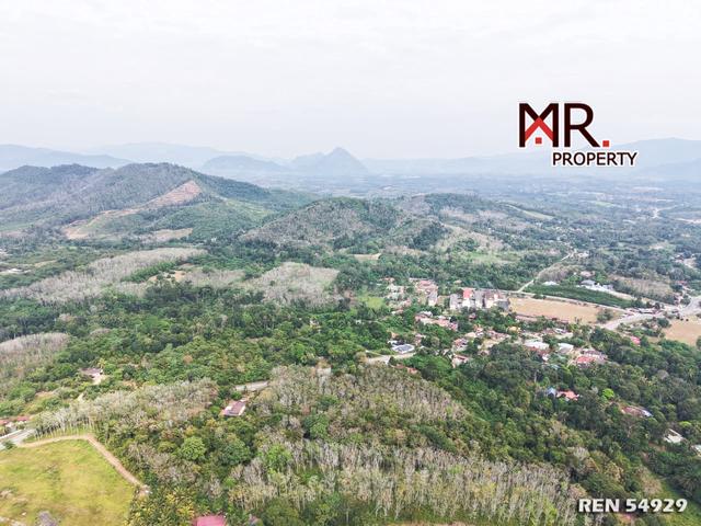 EASY ACCESS Oil Palm Farm Baling FOR SALE 1