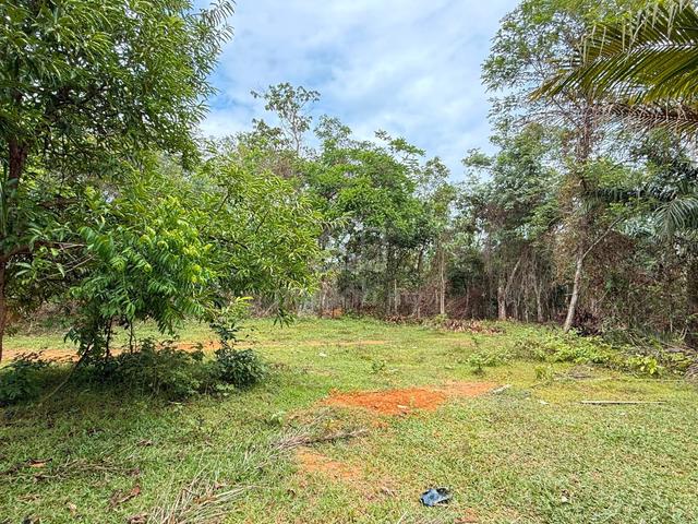 Tanah Kebun Getah Di Mukim Kupang, Baling, Kedah 1