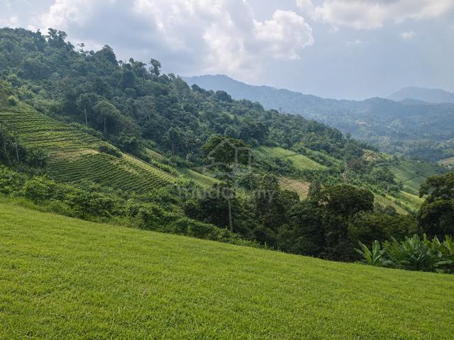 Beautiful highlands available for rent 1