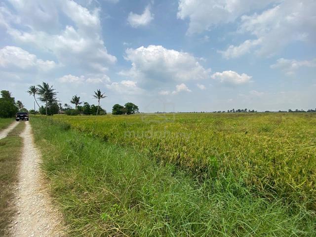 3 acre [FREEHOLD] Sawah padi land Sabak Bernam For sale 4