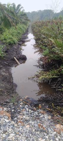 land for sale 1