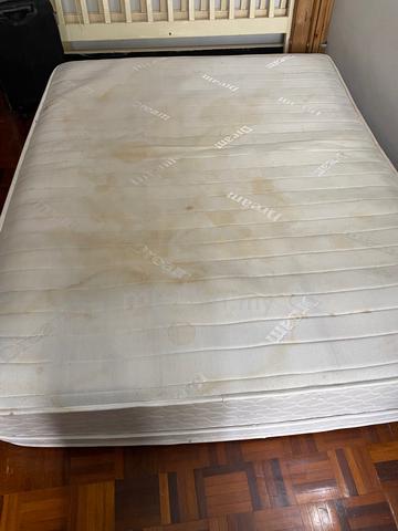solid wood queen size bedframe n mattress - photo 2 of 2
