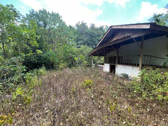 Tanah pertanian - perik, kuala nerang, kedah 1