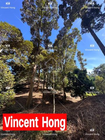 (5 acres) Perak Lenggong agricultural land Durian Farm 5