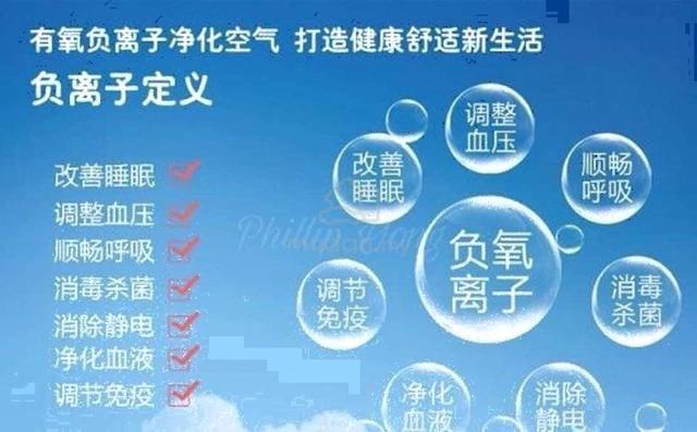 Carousel Image Selected