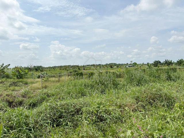Klang Kampung Johan Setia Agricultural Land 1 Acre 1