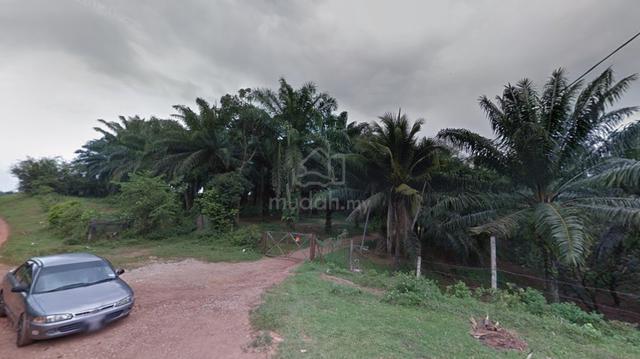 Freehold Oil Palm Land Durian Tunggal Melaka 1