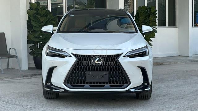 2022 Lexus NX250 2.5 VER L PAN-ROF DIM HUD BSM OFR - 1