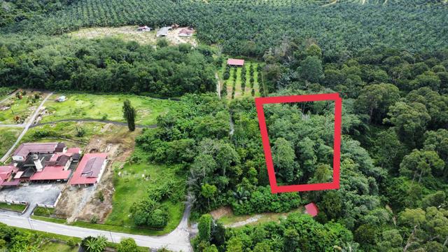 Kebun getah ada hasil jual murah 1