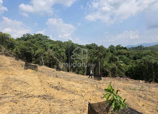 Tanah 1 acre untuk dijual  1