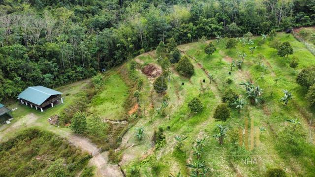 Tanah Pertanian Dusun Durian di Batang Kali untuk dijual 1