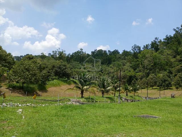 Serendah Freehold Durian Orchard 6 Acres 1