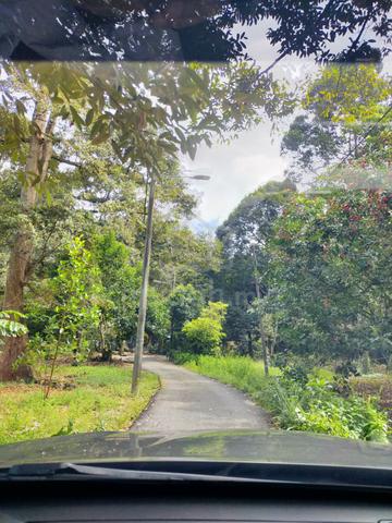 18.4 Acres Agricutural Land in Sg Pinang Penang 1