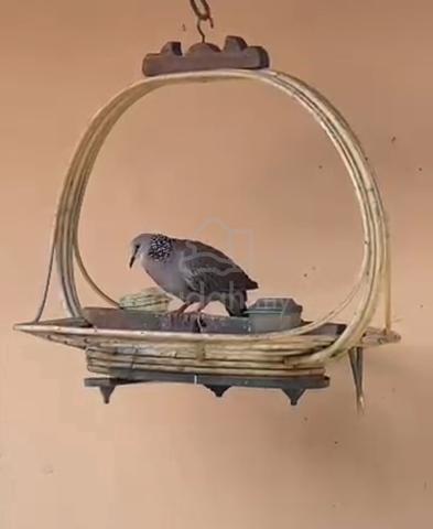 Carousel Image Selected