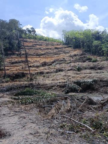 Bumi Lot Freehold : Tanah kediaman & pertanian 3.4 ekar Kuala Pilah 1