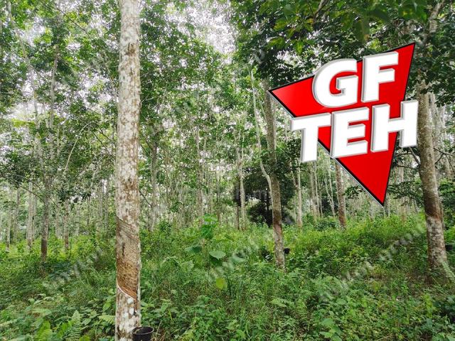 5.03 acres Agricultural Land | Sauk | Perak | For Sale 3.90psf k 5