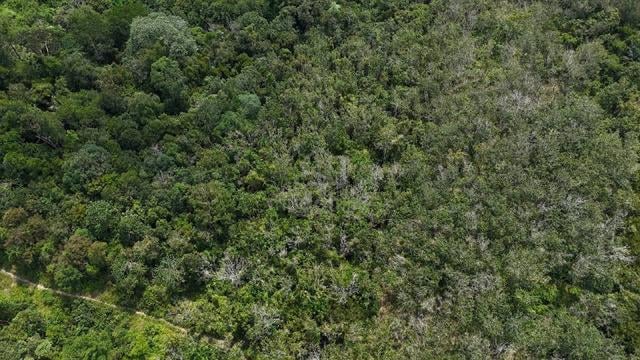 Kuala Kangsar / Agriculture Land For Sale / FREEHOLD / 3.49 Acres Land 1