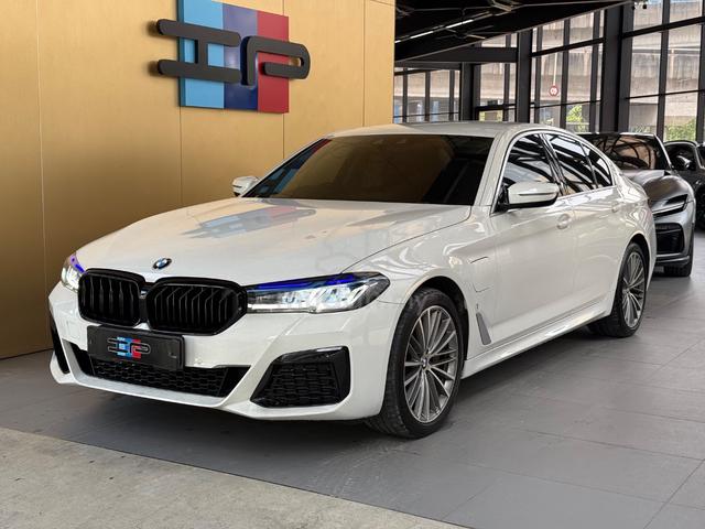 2019 BMW 530e 2.0 M-Sport G30 530 - 1