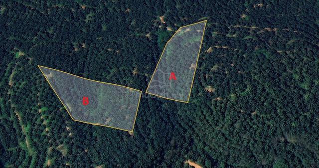 Tanah Sawit Untuk Dijual Di Pulau Kamiri, Kuala Kangsar 1