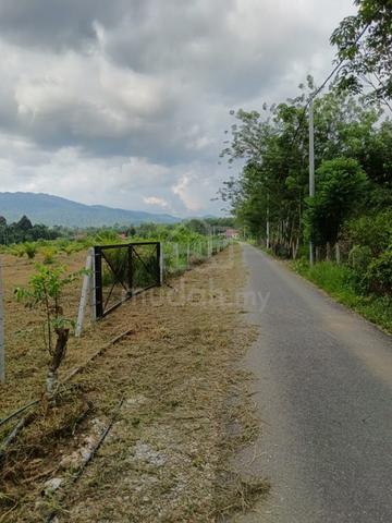 Tanah Kebun Sawit 1