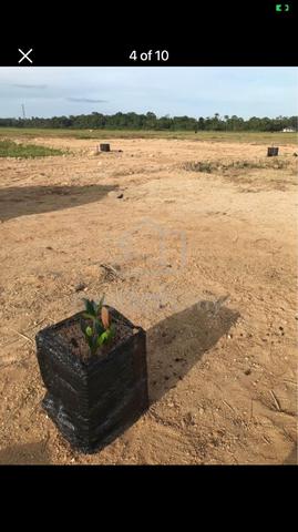 Lot banglo kg lundang paku.500m klinik lundang paku 3