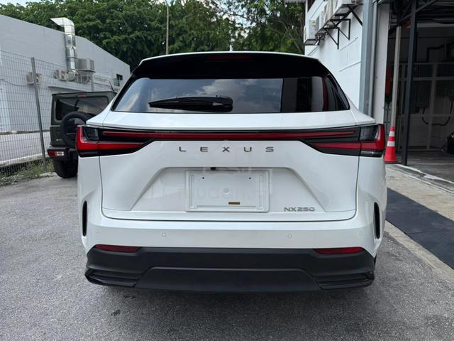 2023 Lexus NX250 2.5 Version L 23K Km P/ROOF 4 CAM - 5