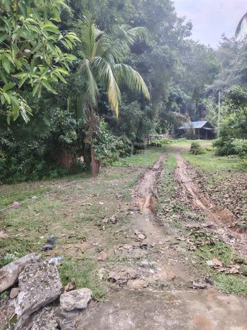 FREEHOLD NONBUMI TEPI JALAN Tanah Pertanian Jalan Sikamat Mukim Pantai 1
