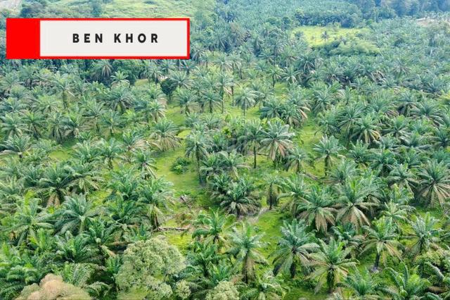 9.20 acres | Future Development Land| Sg Jawi | Simpang Ampat | PENANG 1