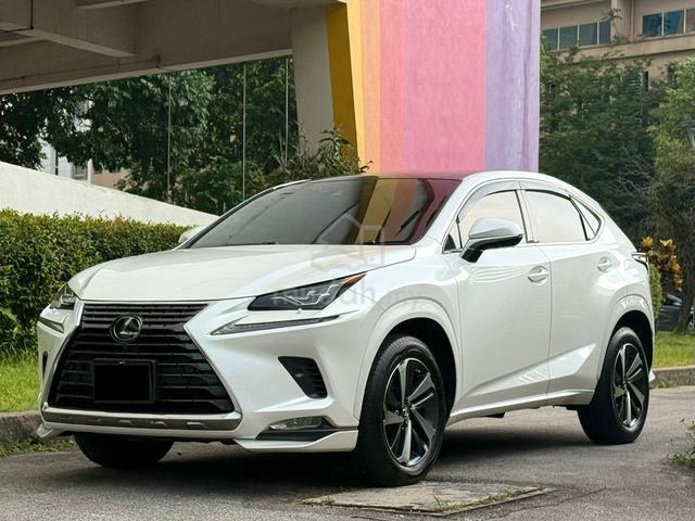 2019 Lexus NX 300 2.0 I-PACKAGE MIL 53K KM ONLY - 1