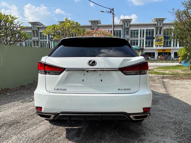 4.5|2022 Lexus RX300 F SPORT / S-Roof / 360 / Hud - 3